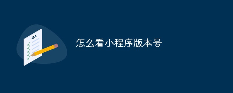 溫州靈昆街道怎么看小程序版本號